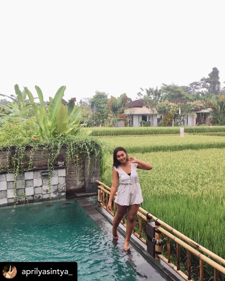 Nirankara Private Pool Villa - By Ubud Paradise Eksteriør billede