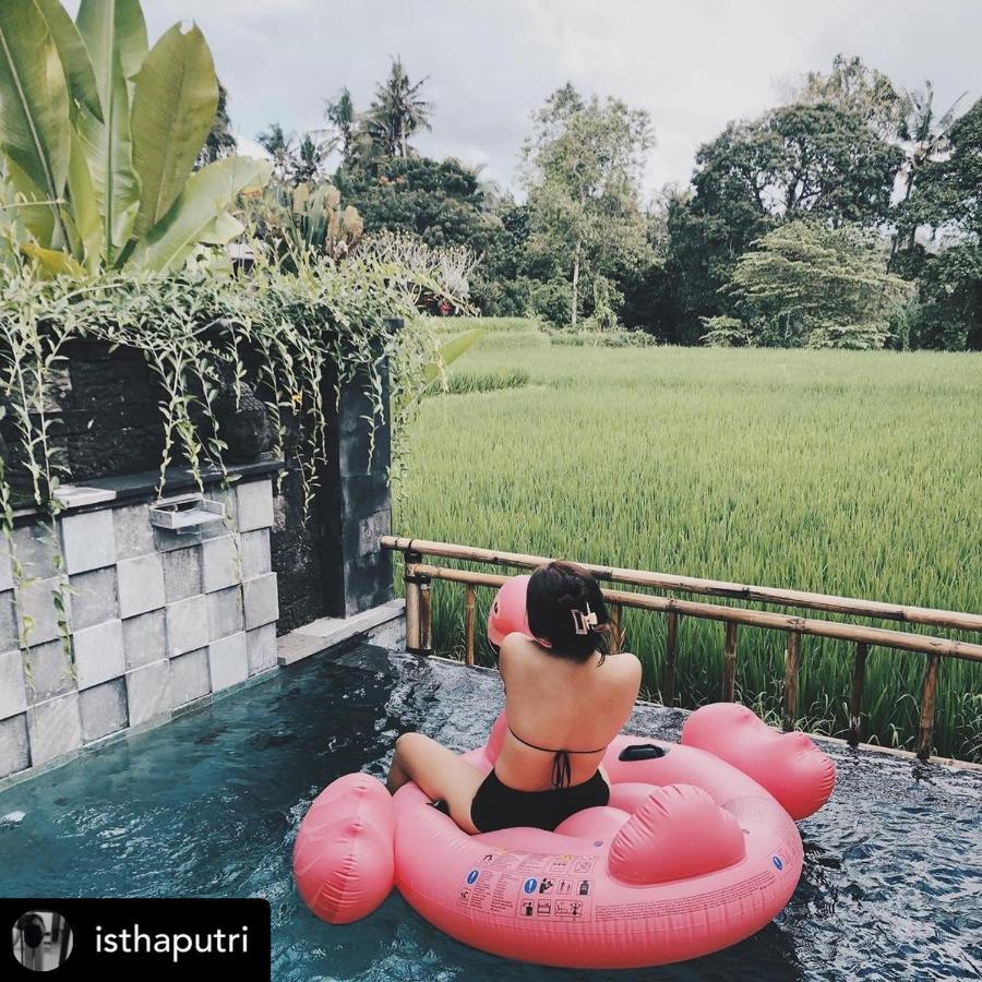 Nirankara Private Pool Villa - By Ubud Paradise Eksteriør billede